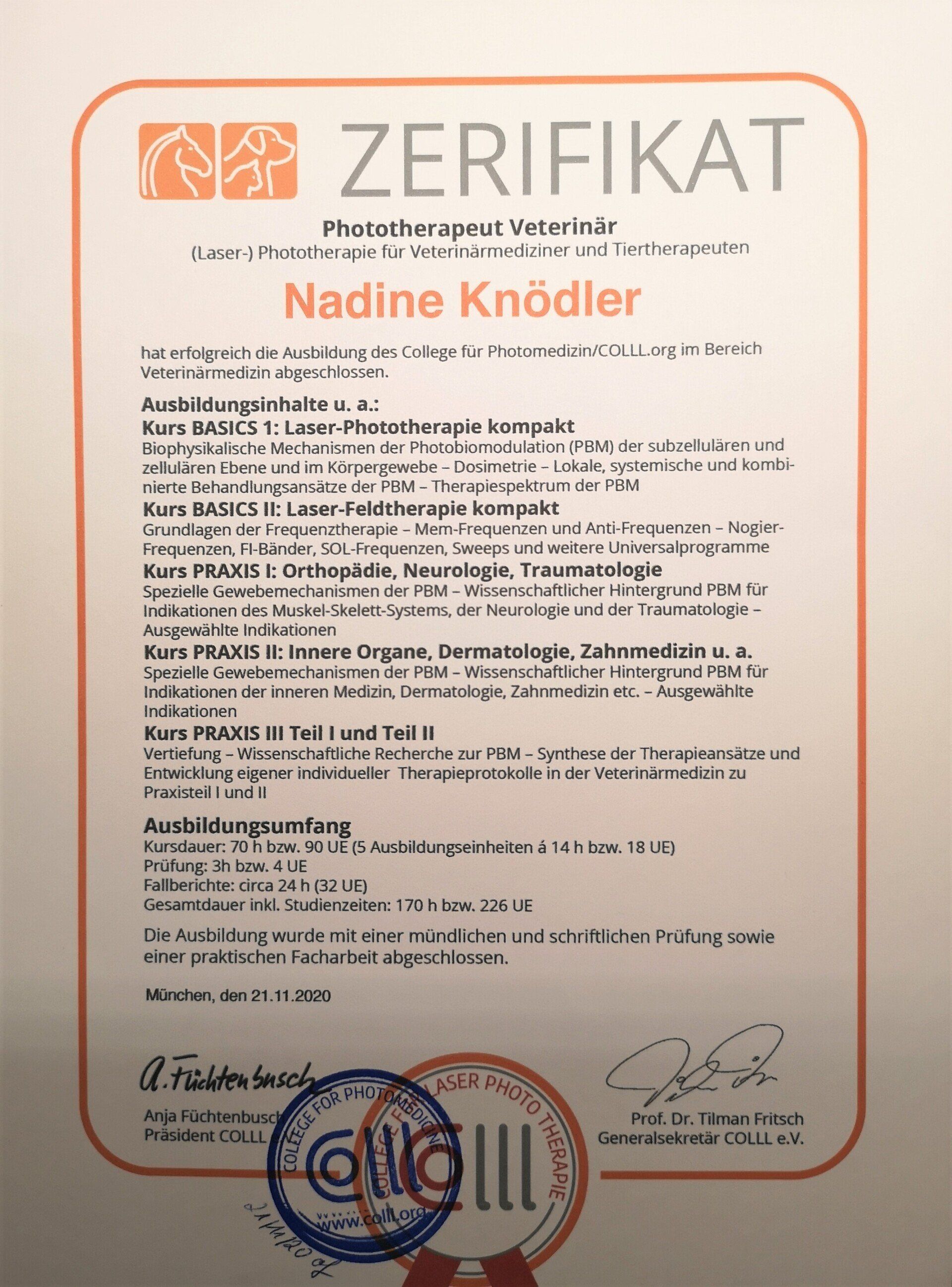 Phototherapeut Veterinär