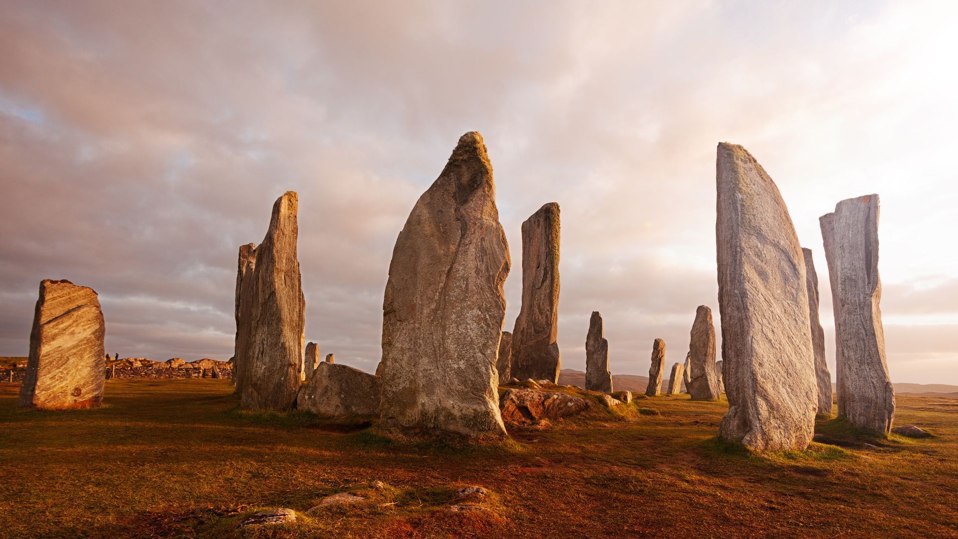 Seminar Männer Puls