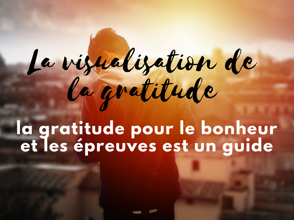 Formation Coach de vie - Accompagnateur Résilience Relationnel et Organisation Coaching