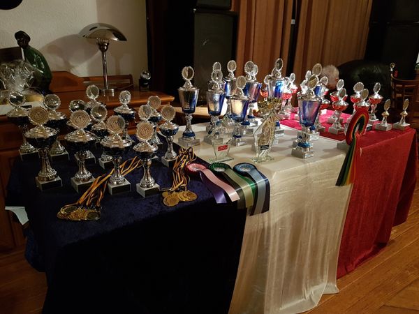 MFD-SH Preise und Auszeichnungen 2018