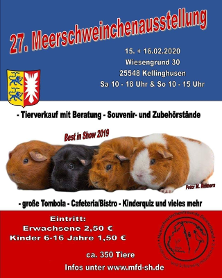 MFD-SH Plakat der Ausstellung