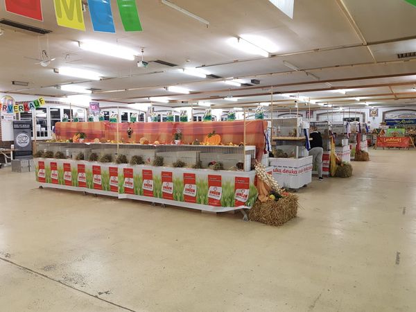 MFD-SH Ein Blick in die Ausstellungshalle