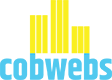 Cobwebs Cleaning Limited - Logo