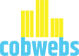 Cobwebs Cleaning Limited -logo