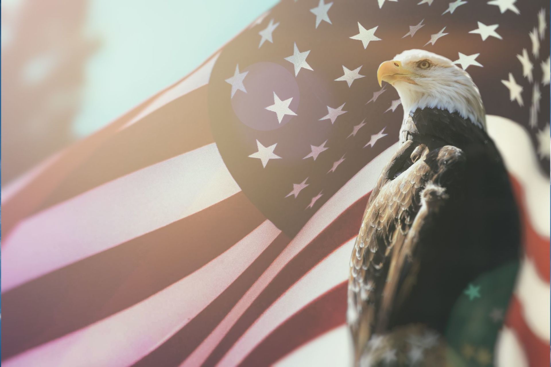 Eagle facing American flag