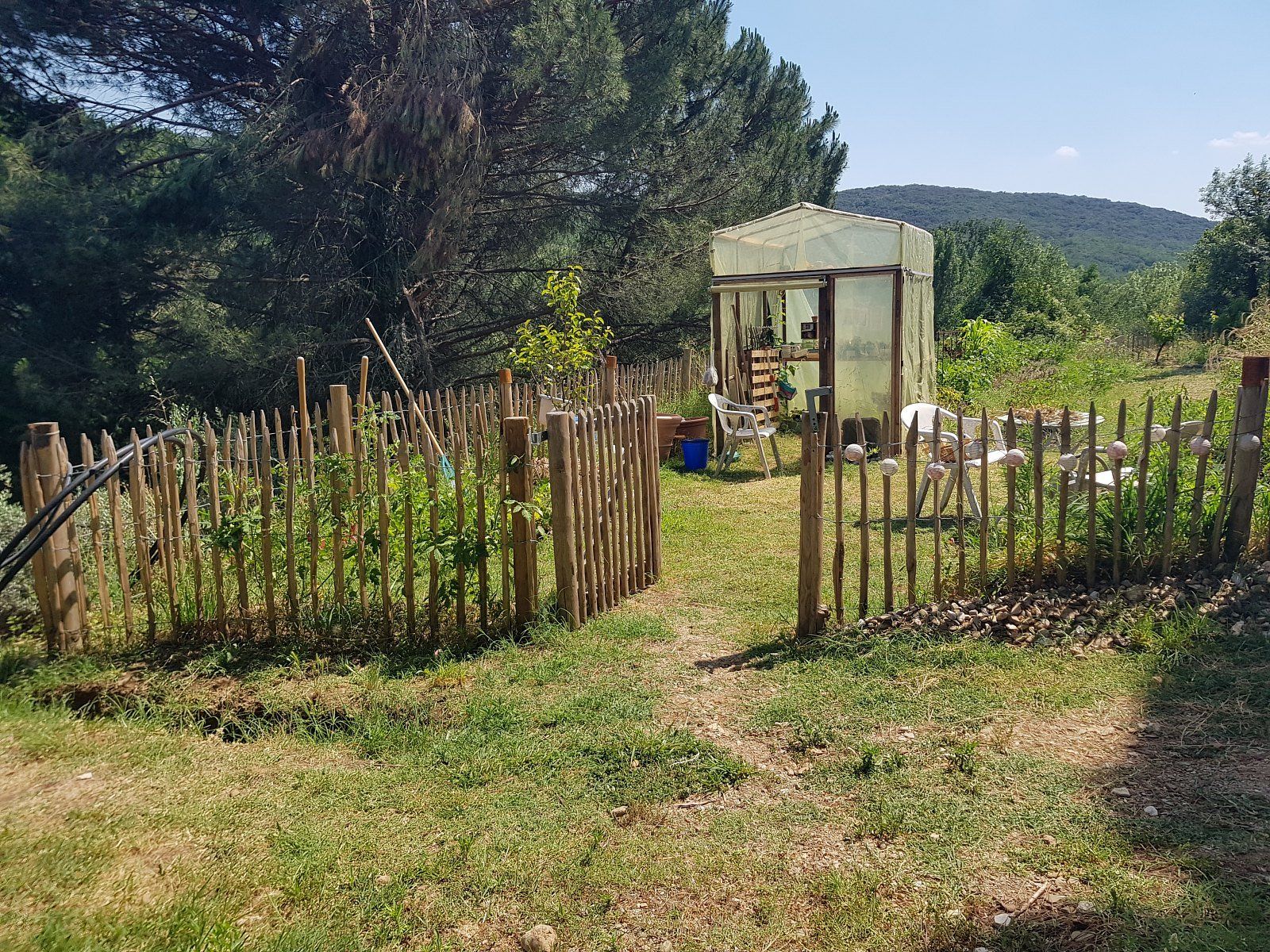 Mas des Ballats - Potager