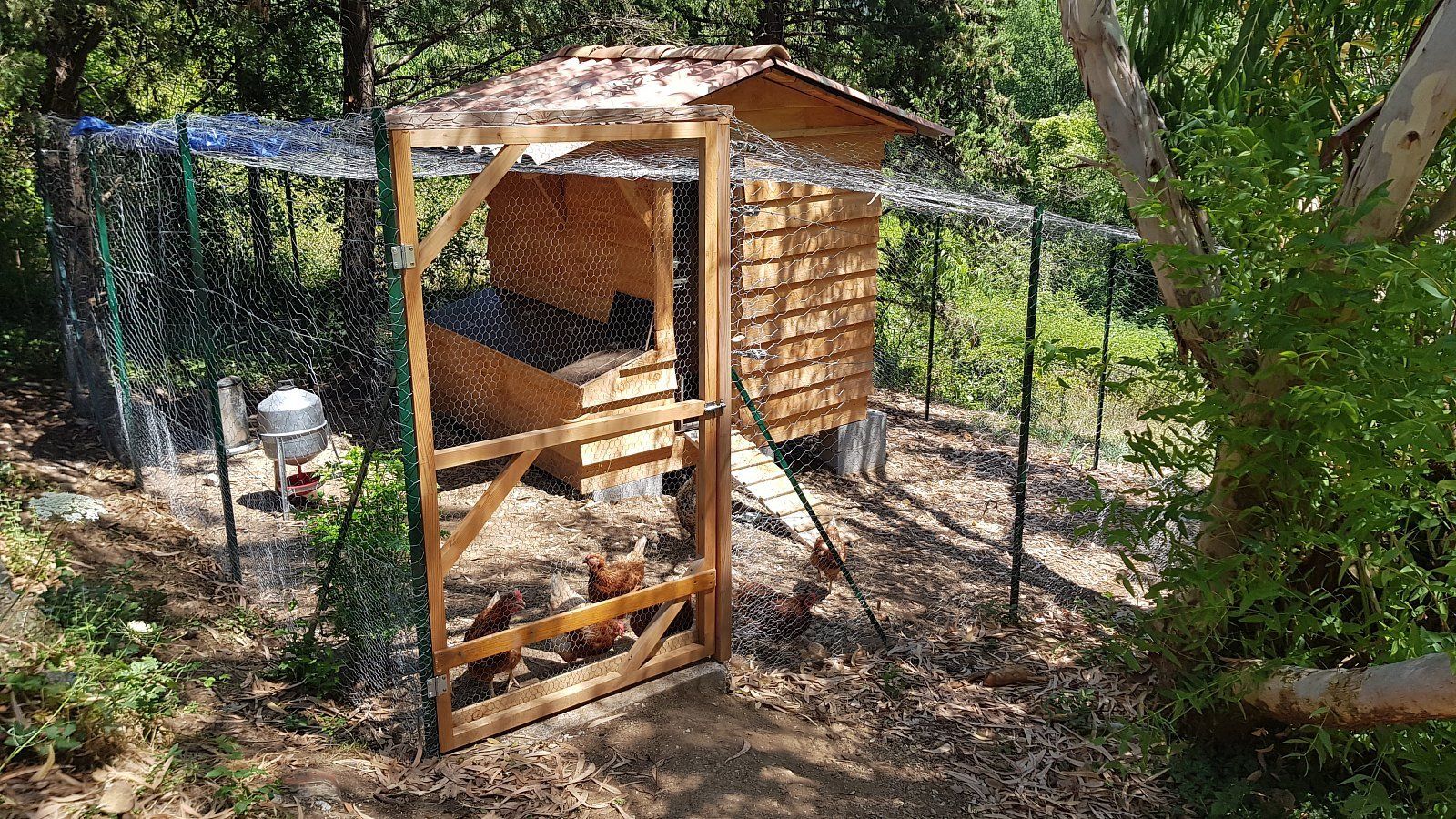 Mas des Ballats - Poulailler