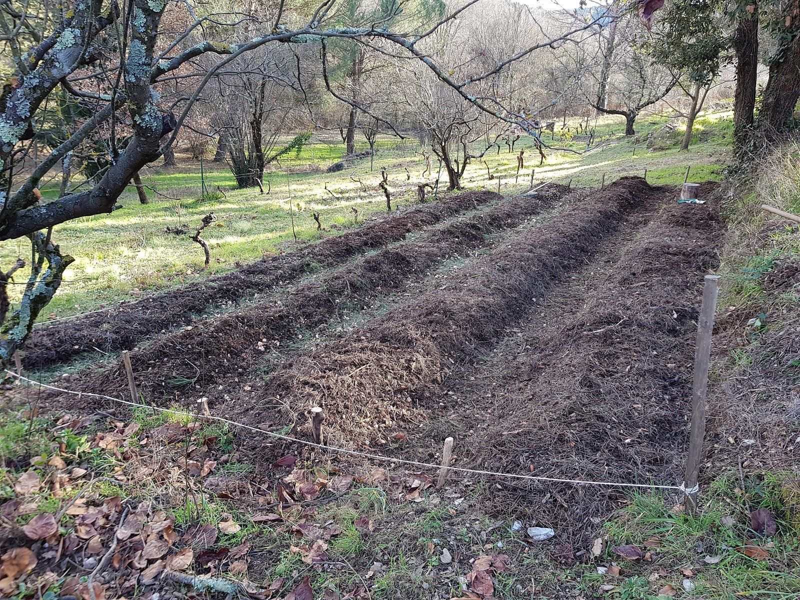Mas des Ballats - Potager