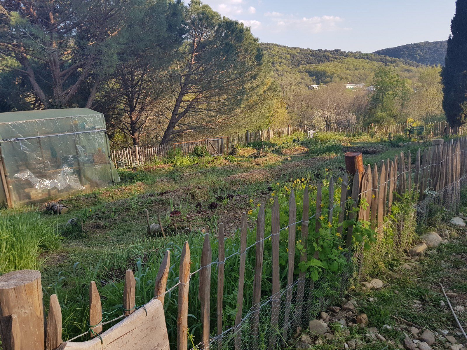 Mas des Ballats - Potager