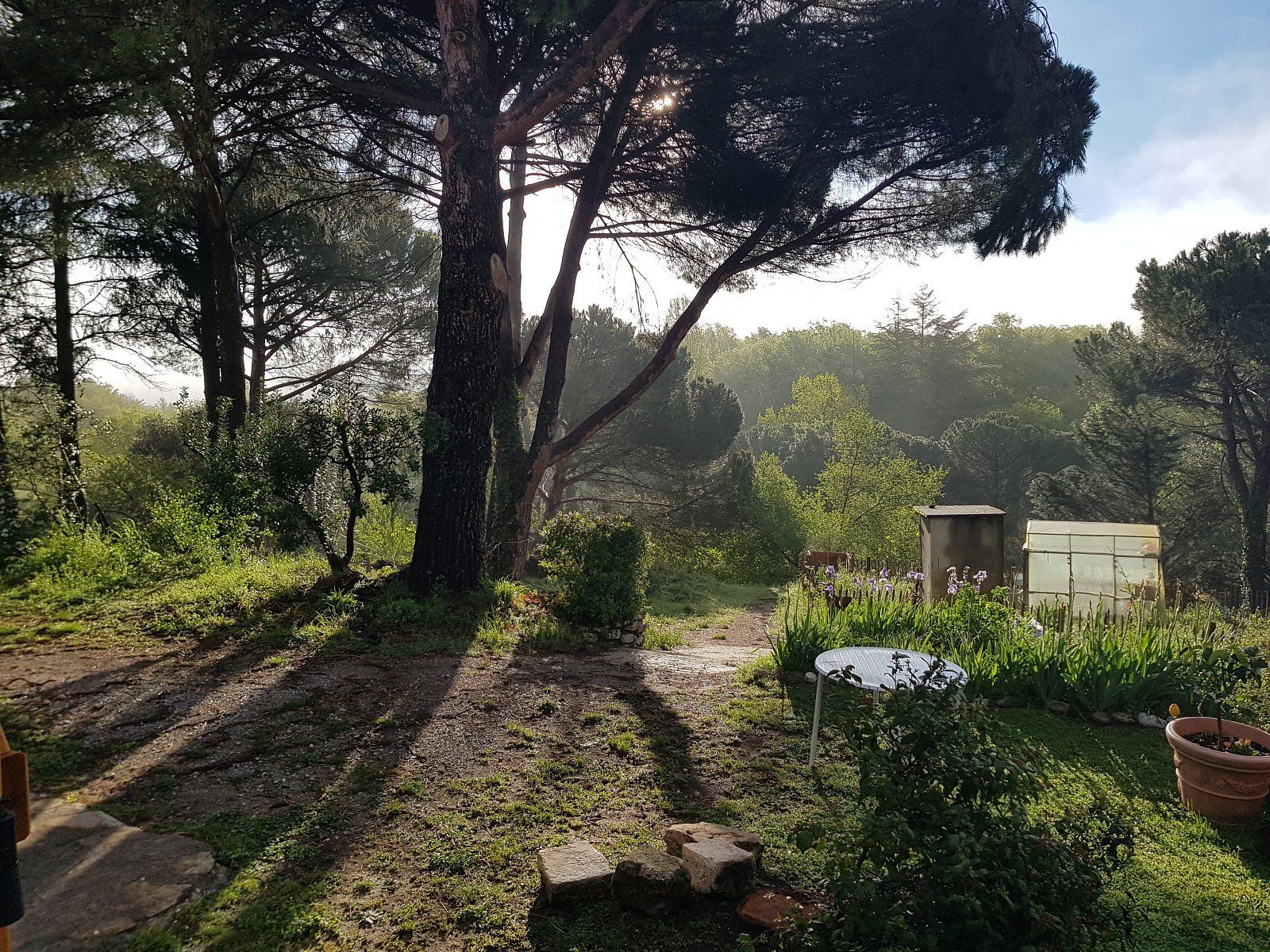 Jardin - Mas des Ballats Jardin - Mas des Ballats