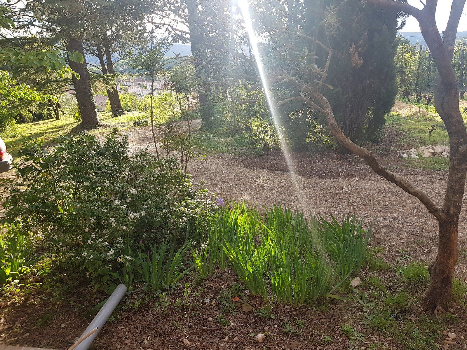 Mas des Ballats - Jardin