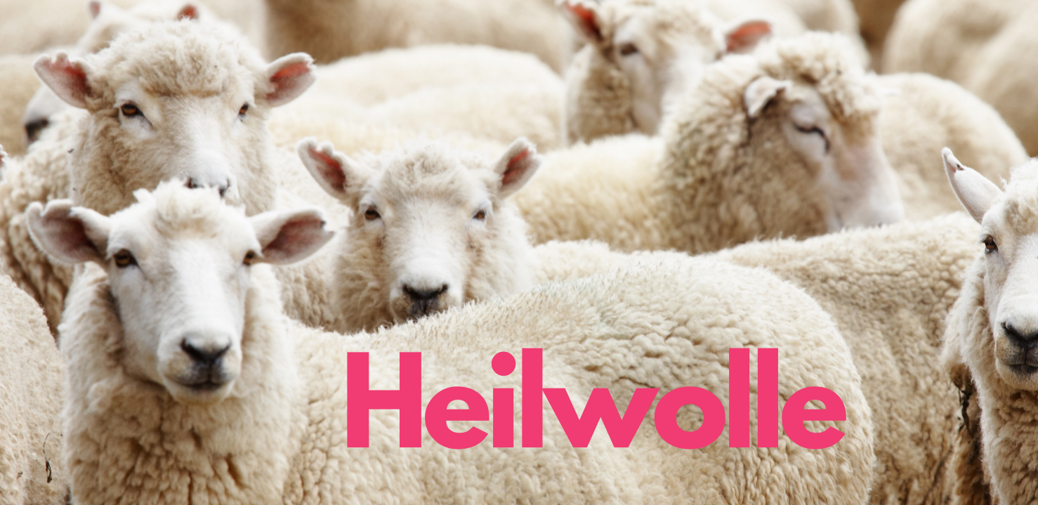 eine Schaafsherde sowie der Text: Heilwolle
