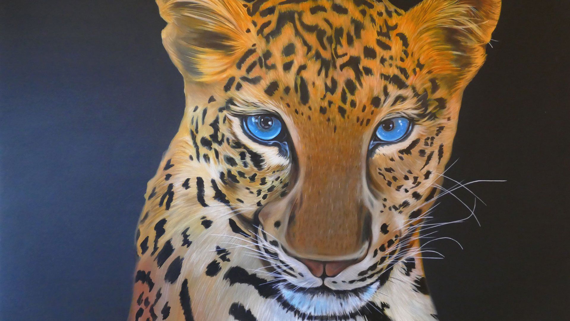 My- Spiritual-Animal-leopard--Christoph-Waldner