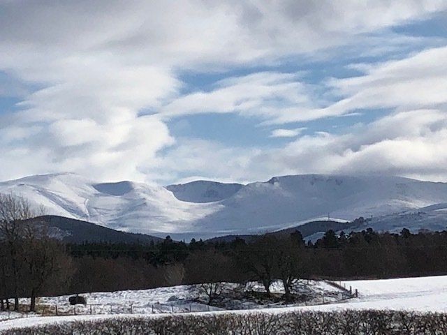 KEM Distribution Contact Us