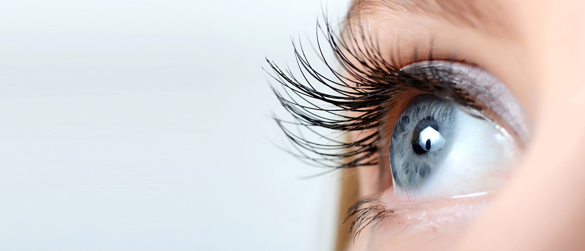 Kunstwimpernschulung