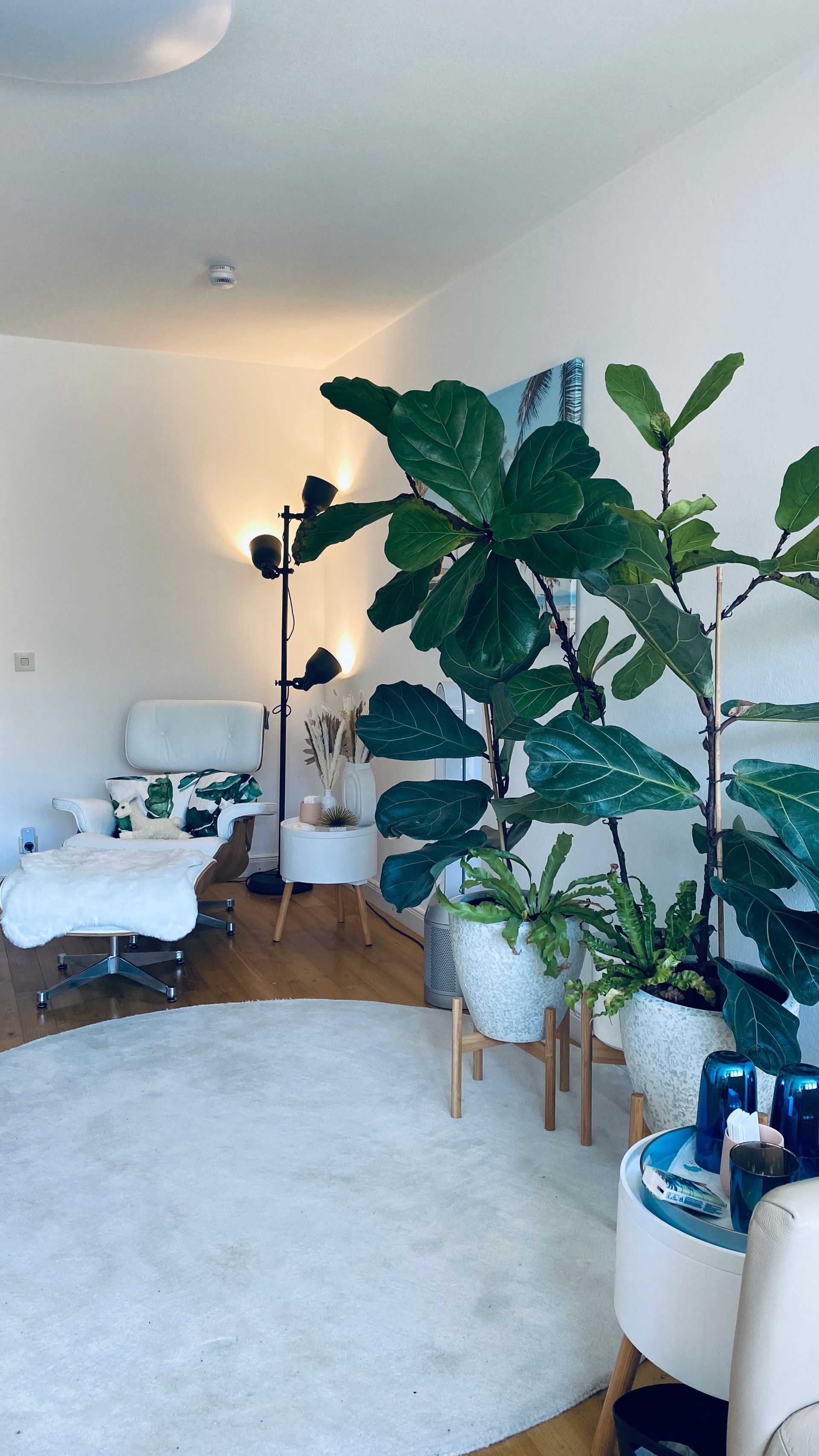 EMDR Hypnose Scheithauer Annette