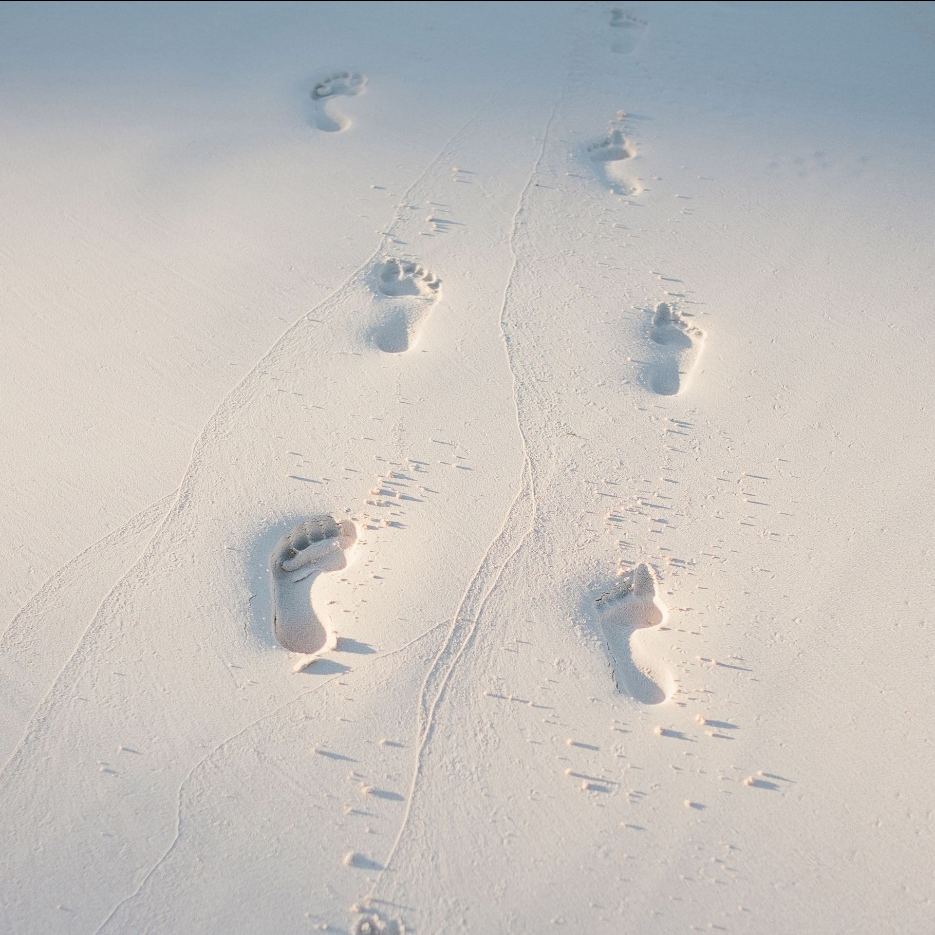 EMDR Hypnose Scheithauer Annette