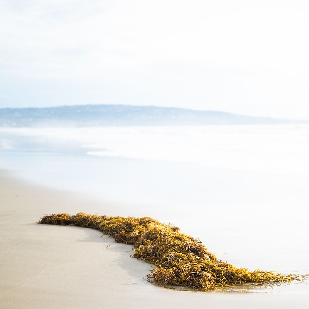 EMDR Hypnose Scheithauer Annette