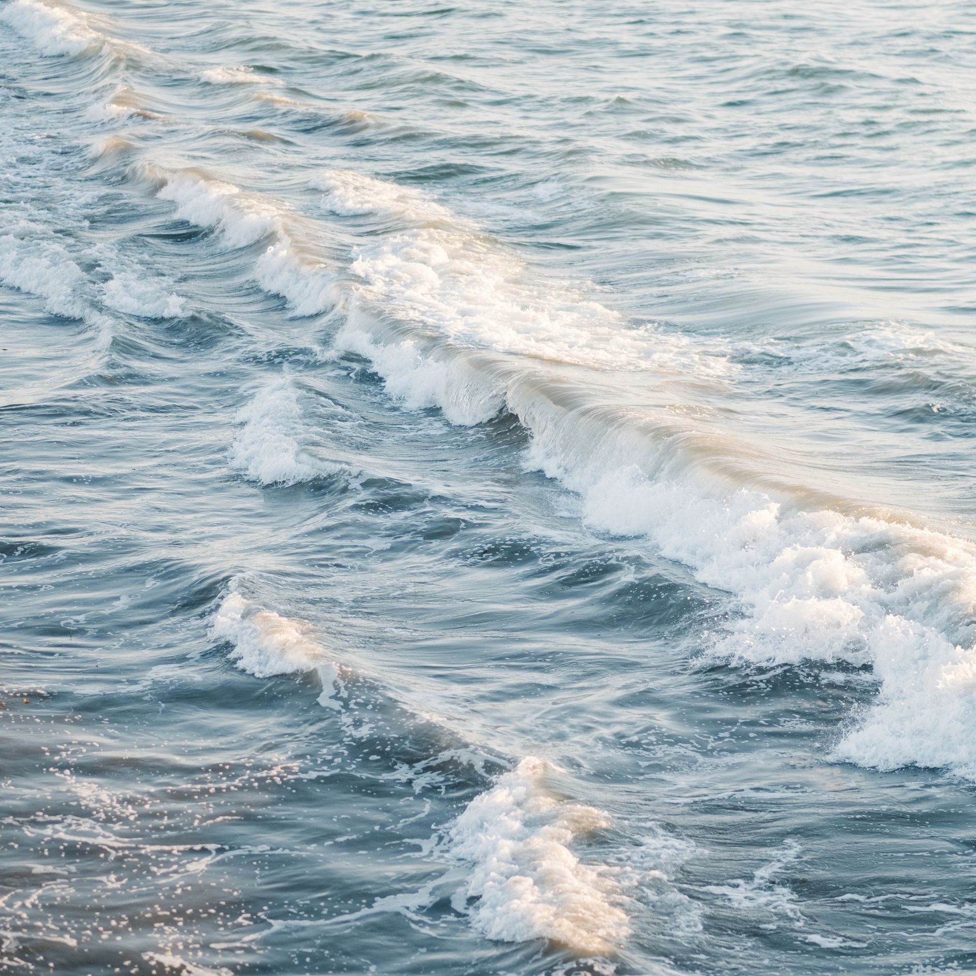 EMDR Hypnose Scheithauer Annette