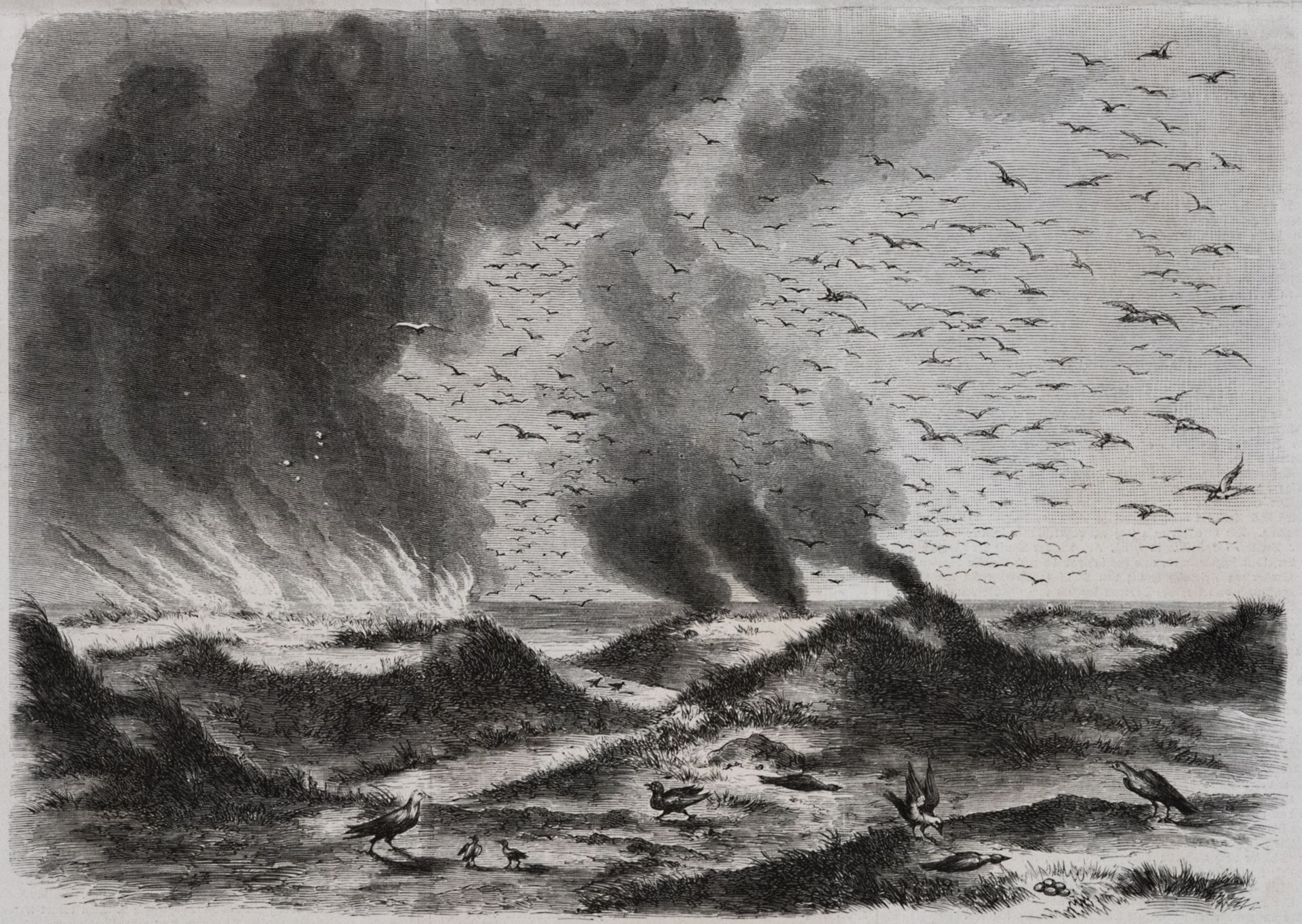 Dünenbrand