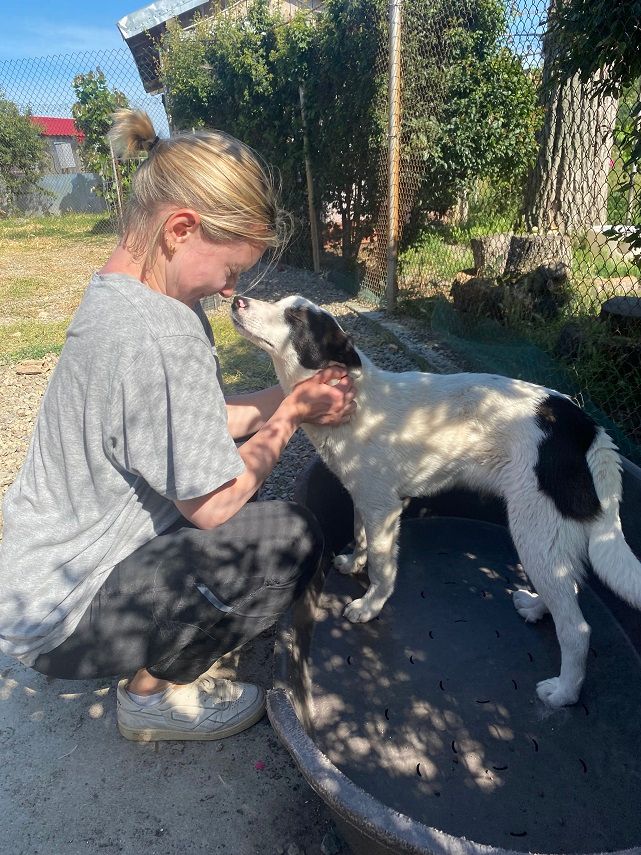 Bild mit Frau und Hund, die kuscheln