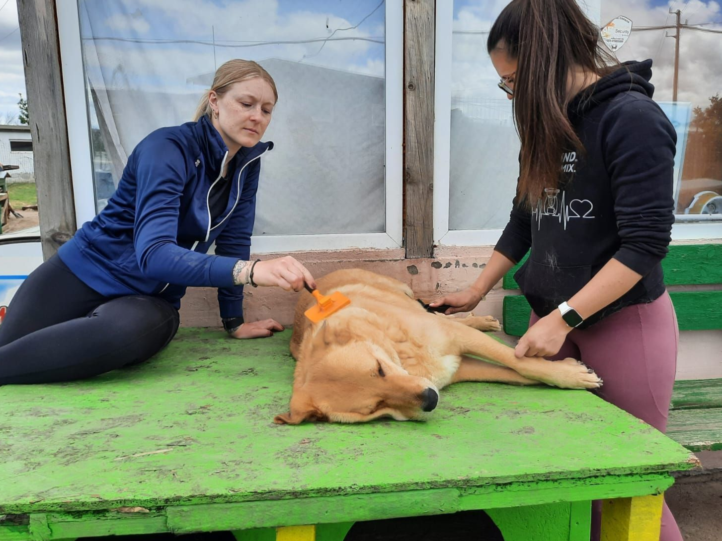 Zwei Frauen bürsten einen entspannten Hund.