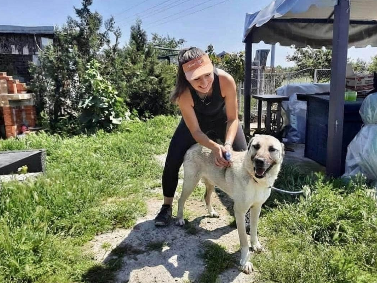 Frau lächelt und bürstet Hund