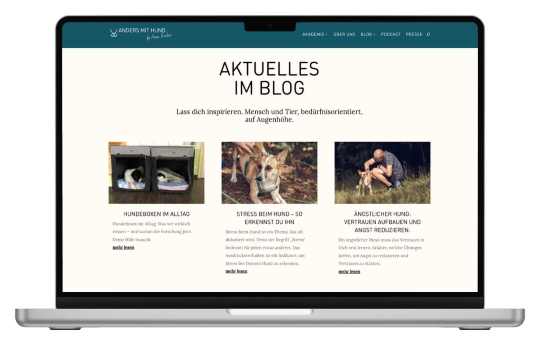 Screenshot des Blogs von Anne Bucher