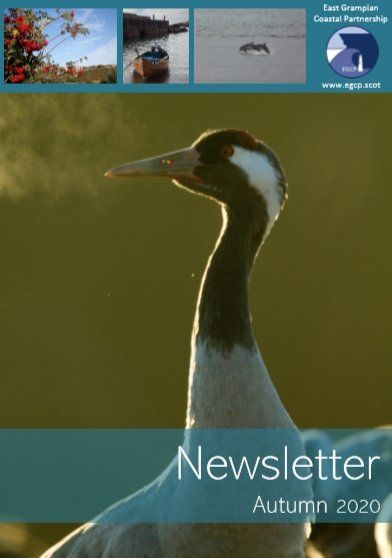 Autumn 2020 Autumn 2020