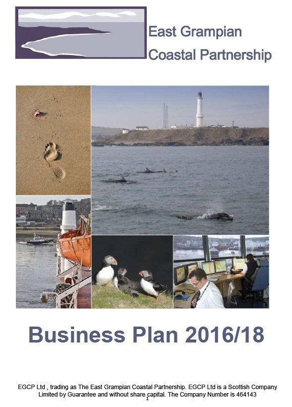 Business Plan 2016/18