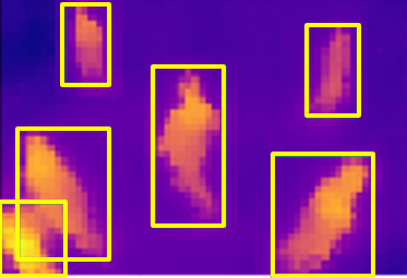 thermal image of 6 persons standing side by side