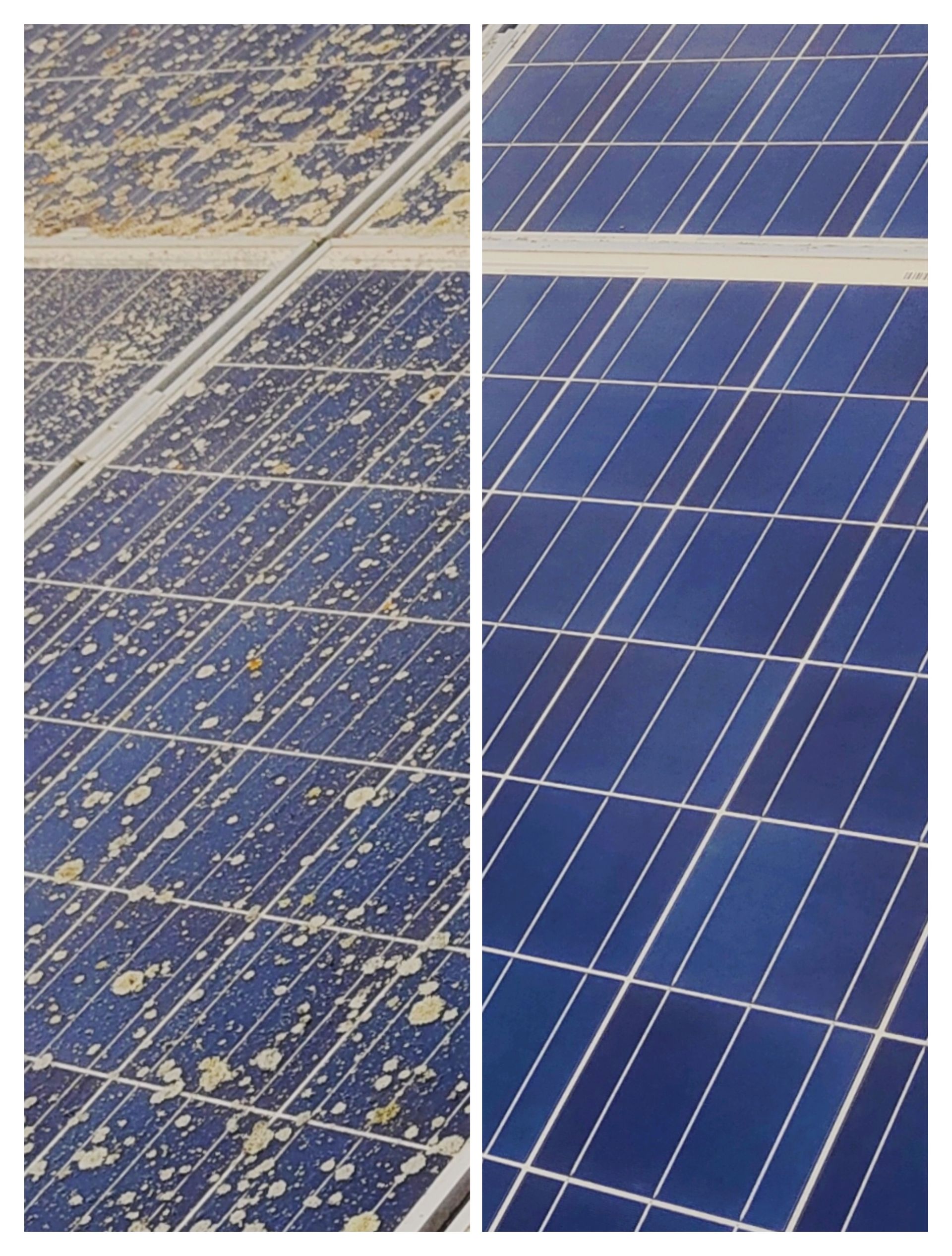 Solar panel before and after