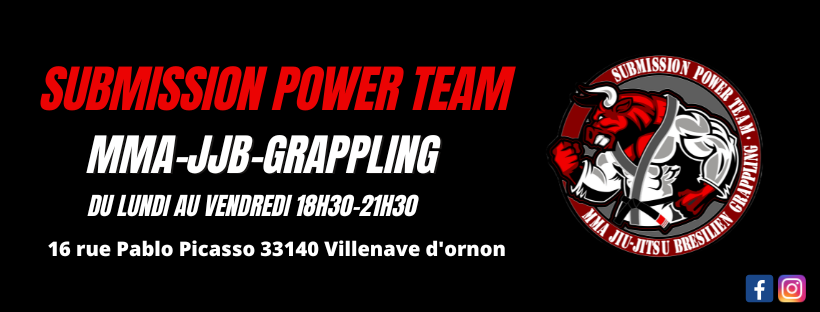 jiu jitsu brésilien mma