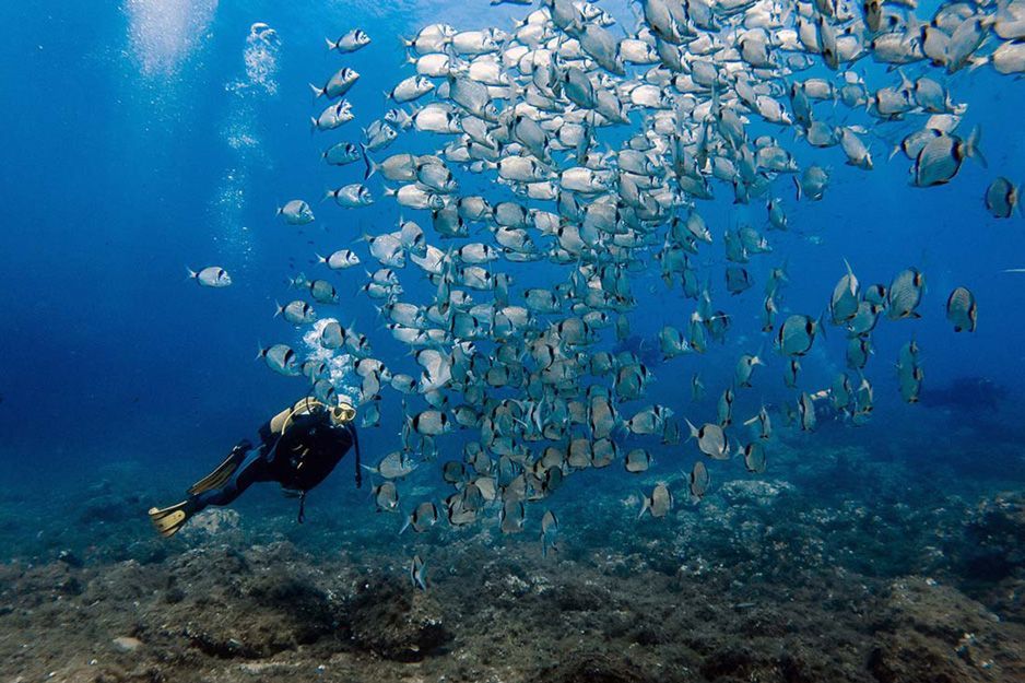 Inmersiones en Tossa