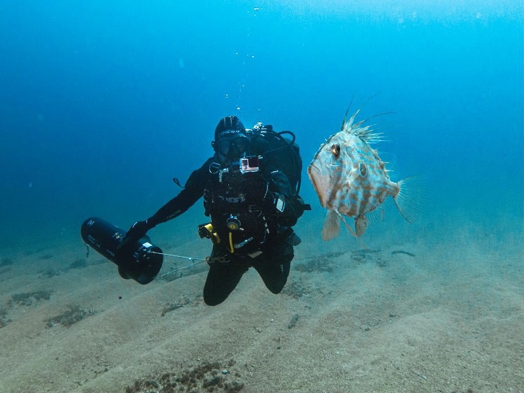 padi advanced owd tossa de mar