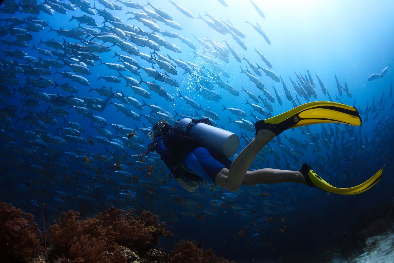 padi reactivate tossa de mar