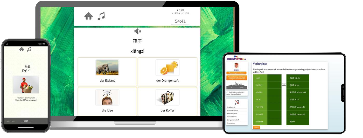 Chinesisch lernen - Business B2/C1 Chinesisch lernen - Business B2/C1