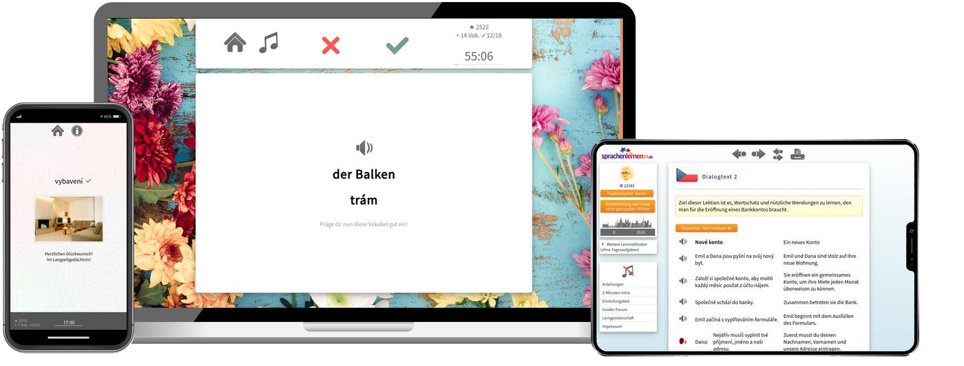 Tschechisch lernen - Aufbaukurs B1/B2 Tschechisch lernen - Aufbaukurs B1/B2