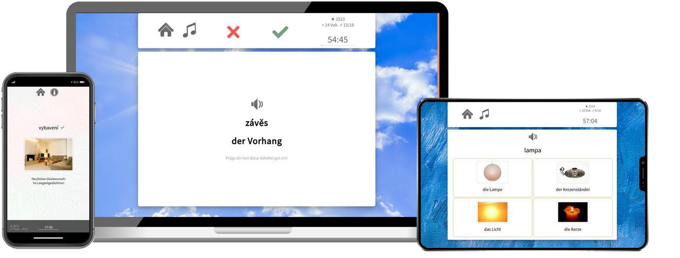 Tschechisch lernen - Fachwortschatz C1/C2 Tschechisch lernen - Fachwortschatz C1/C2
