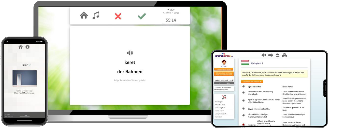 Ungarisch lernen - Fachwortschatz C1/C2 Ungarisch lernen - Fachwortschatz C1/C2