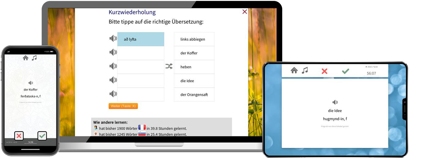 Islaendisch lernen - Basiskurs A1/A2 Islaendisch lernen - Basiskurs A1/A2