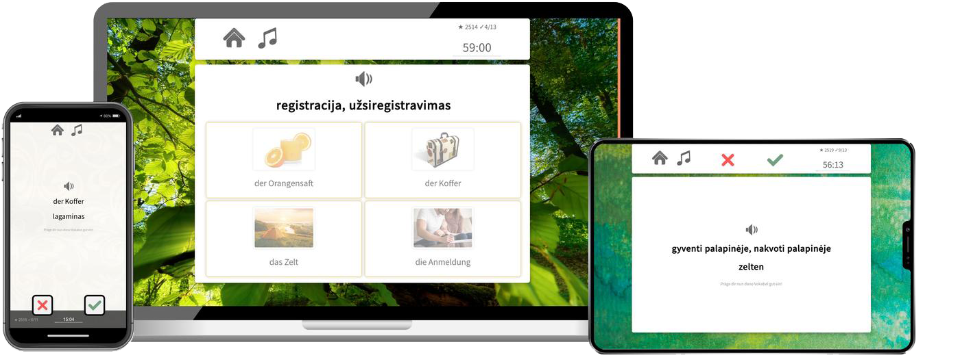 Litauisch lernen - Aufbaukurs B1/B2 Litauisch lernen - Aufbaukurs B1/B2