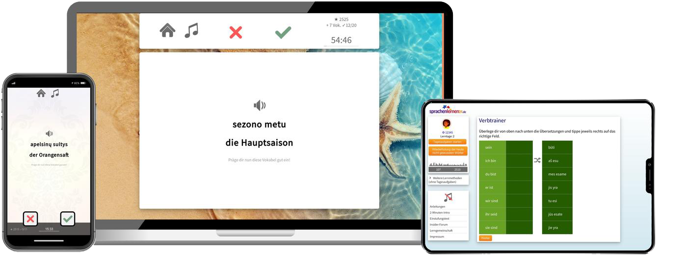 Litauisch lernen - Fachwortschatz C1/C2 Litauisch lernen - Fachwortschatz C1/C2