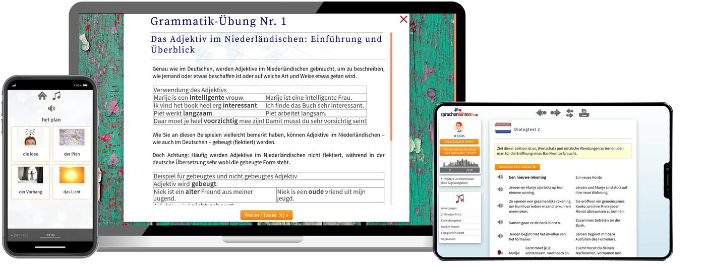 Niederländisch lernen - Fachwortschatz C1/C2