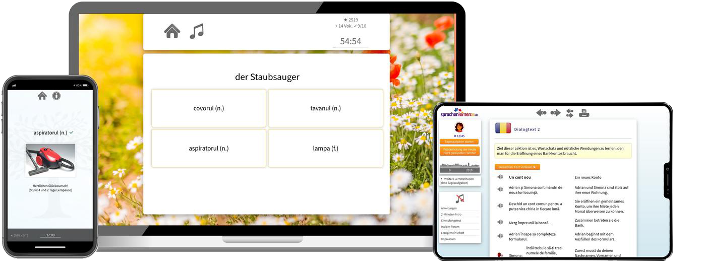 Rumänisch lernen - Aufbaukurs B1/B2 Rumänisch lernen - Aufbaukurs B1/B2