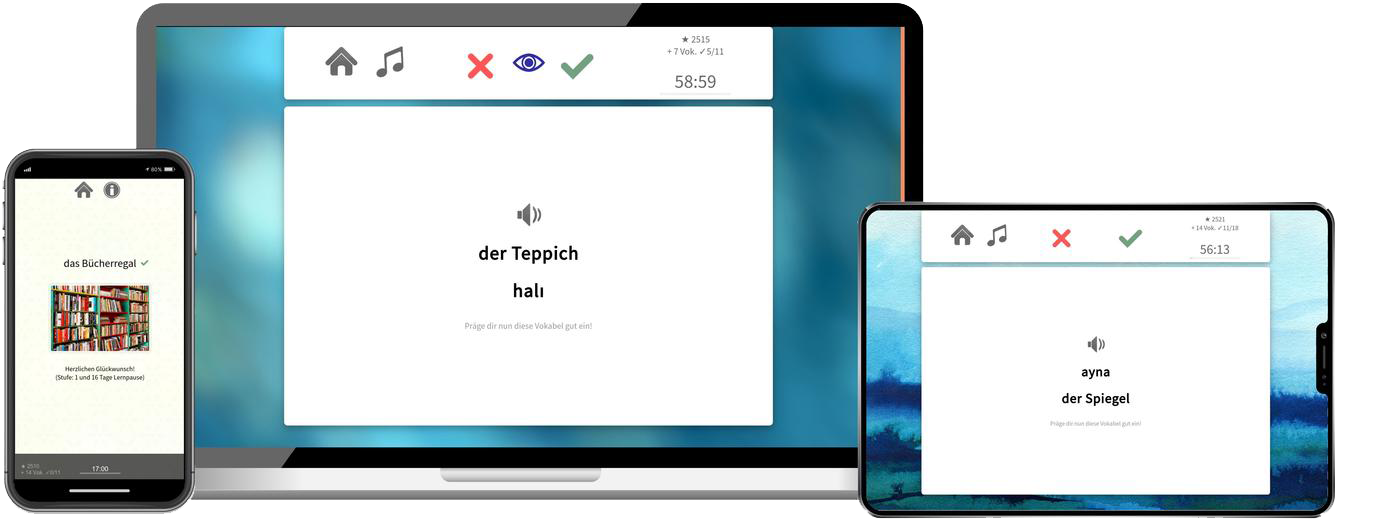 Türkisch lernen - Business B2/C1 Türkisch lernen - Business B2/C1