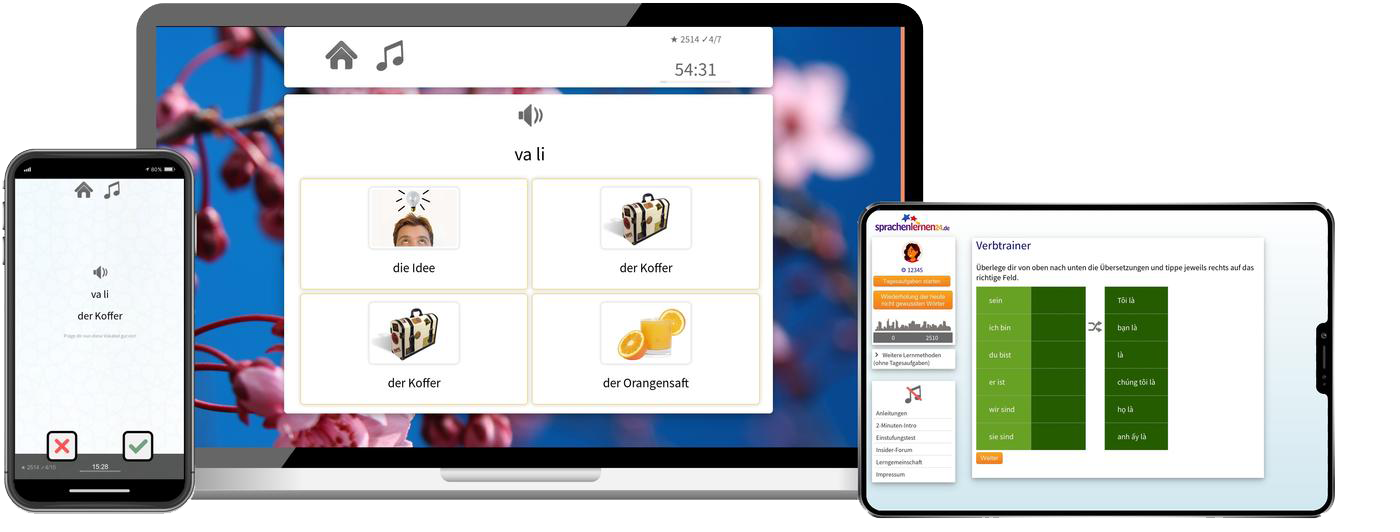 Vietnamesisch lernen - Fachwortschatz C1/C2 Vietnamesisch lernen - Fachwortschatz C1/C2