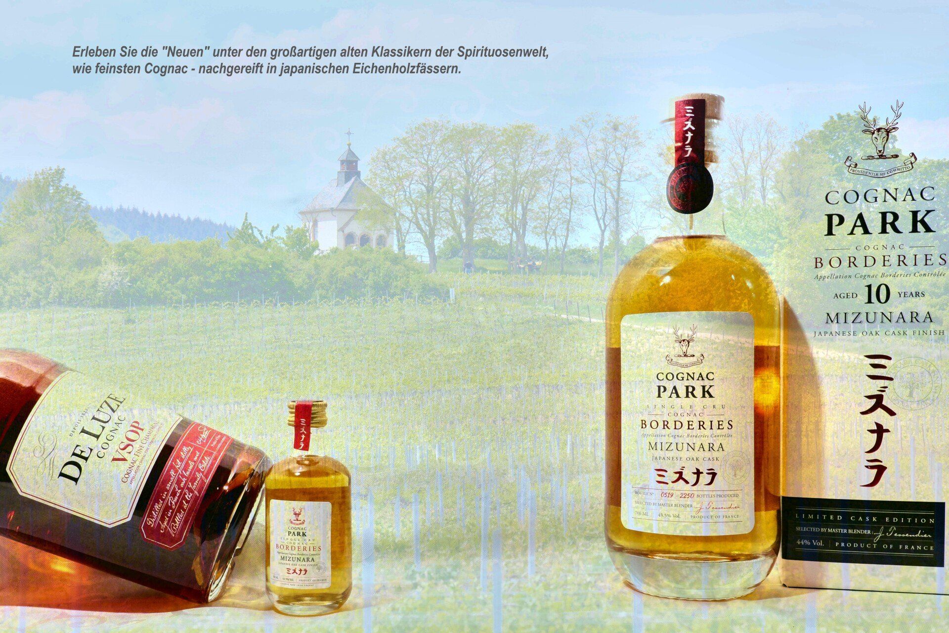 Aettker Spirits Park und De Luze Cognac