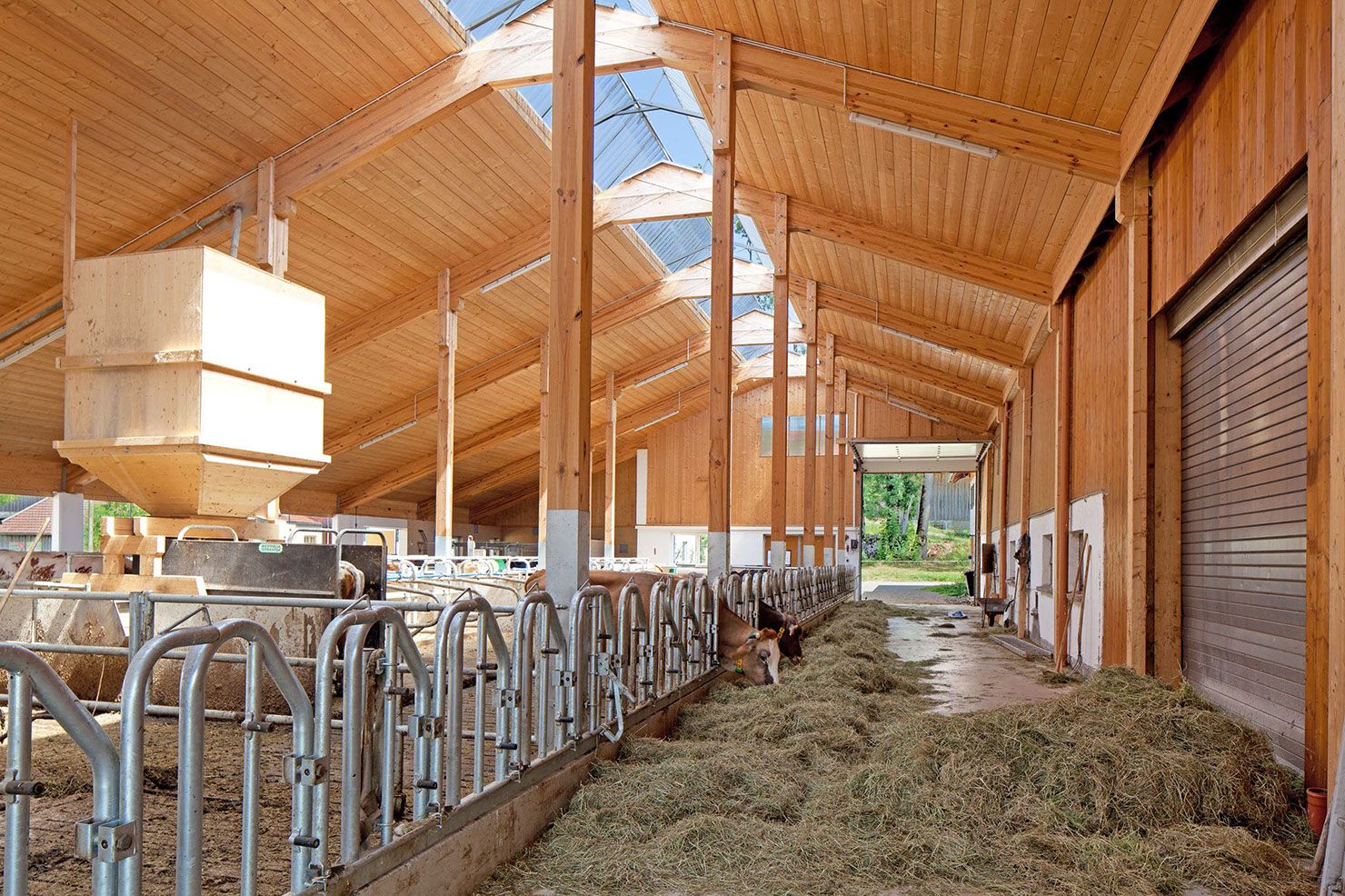 Stallgebäude in nachhaltiger Holzbauweise Innenansicht