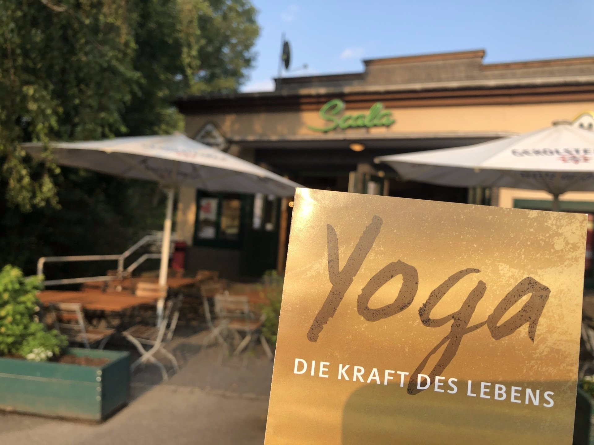 Film Yoga Die Kraft des Lebens